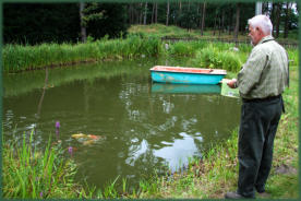 Der Schwalinger Jäger Alfred Meisel füttert seine Kois