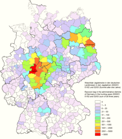 Waschbär-Jagdstrecke 2000-2003 Deutschland nach Landkreisen 