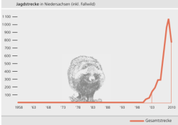 Entwicklung der Marderhund-Jagdstrecke in Niedersachsen